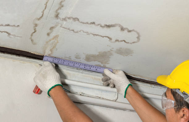 Reliable Basement Water Removal contractor in Franklin Lakes, NJ by Water Damage Irwin